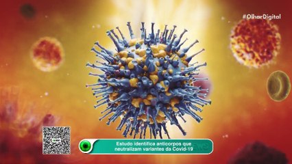 Estudo identifica anticorpos que neutralizam variantes da Covid-19