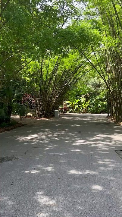 Miami Metro Zoo 2023