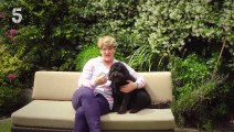 Lost Dogs with Clare Balding | show | 2023 | Official Trailer