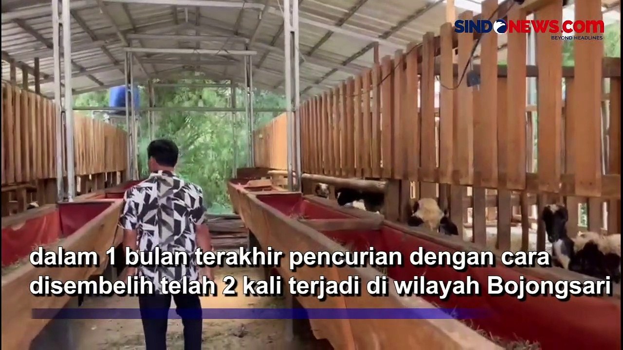 Curi 3 Ekor Kambing Milik Ponpes di Depok, Pelaku Hanya Tinggalkan Isi Perut