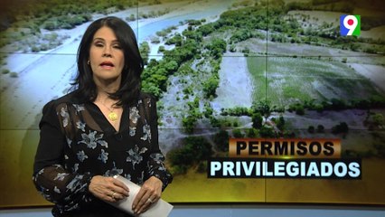 Permisos Privilegiados | El Informe con Alicia Ortega