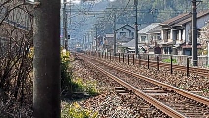 PXL_20230311_142339 9382列車・9382レ Train 9382 and 9382le.