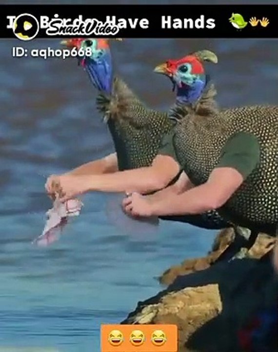 Very Funny Video Clip