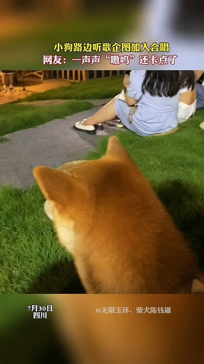 歌手唱《 #後來 》，小狗聽懂了 #劉若英 的歌 ，跟著唱起來。Singer sang #Reneliu "Afterthought", and the dog was moved to sang along. #reels #funny #music