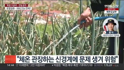 연일 폭염특보…온열질환자 발생 신고에 분주한 소방 구급대원