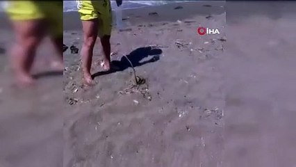 NatGeo Wild değil, Türkiye! Denizde kabusu yaşadı