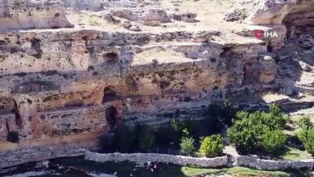 Image notable sur les roches vivantes： Roche ressemblant à un ours