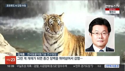 호랑이도 걸리는 조류인플루엔자…사람은 치명률 52%
