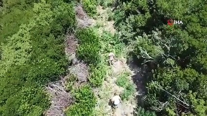 Pas de passage de la gendarmerie aux trafiquants de drogue