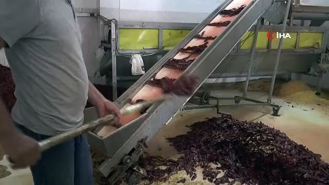 Les roues de l'industrie ont recommencé à tourner à İslahiye, qui a été détruite par le tremblement de terre.