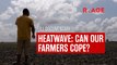 Heatwave: Can our farmers cope? | R.AGE Documentary