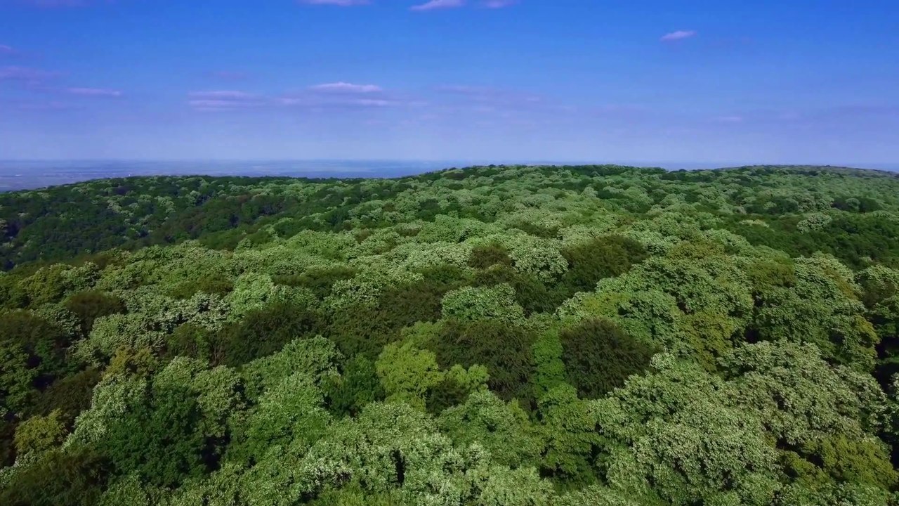 Relaxing Green Mountains Nature with relaxing Quran Recitation  Peaceful Beauty & Calm Verses