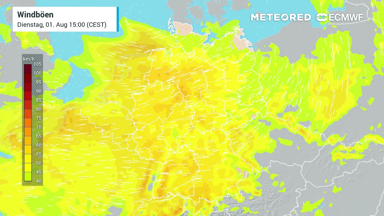 Am Donnerstag (3. August 2023) treffen Sturmböen auf Deutschland! Das könnte gefährlich werden!