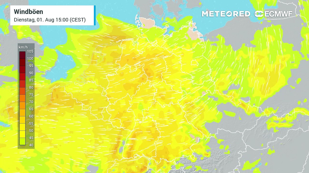 Am Donnerstag (3. August 2023) treffen Sturmböen auf Deutschland! Das könnte gefährlich werden!
