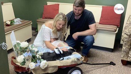 Ils organisent leur mariage chez le vétérinaire pour que leur chien âgé puisse y assister-index