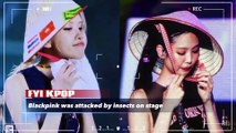 Blackpink members were attacked by small insects and became the inspiration for StarBe