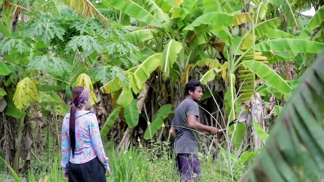 Fresh green banana and crispy green banana in my countryside - Polin lifestyle