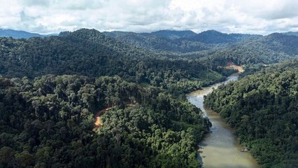 Au bout c’est la mer - Le fleuve Kapuas