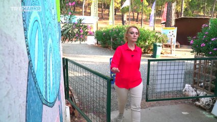 Yakın Rotalar: Dalyan