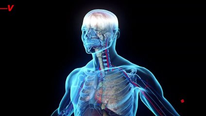 Should You Trust TikTok for Health Tips?