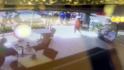 Peine de prison requise pour une personne qui a tué un chien en lui donnant des coups de pied à Izmir