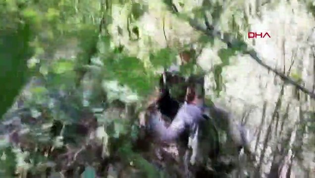 Les efforts de réponse se poursuivent lors d'un incendie de forêt à Antalya