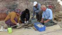 Sardes Antik Kenti'ndeki Sinagogun Yenileme Çalışmalarında Köylü Kadınlar Görev Yapıyor