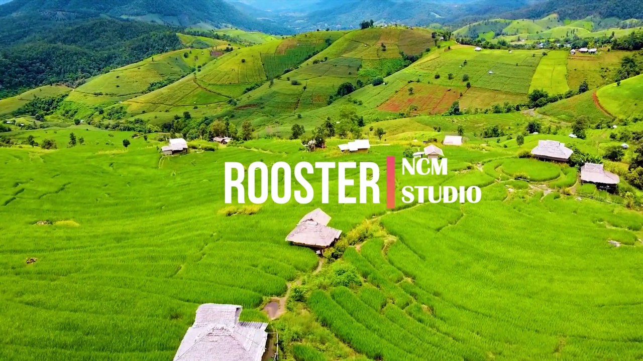 Rooster - Telecasted  Rock Music, Funky Music, Calm Music, Hope Music