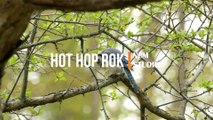 Hot Hop Rok - Steve Adams  RnB Music, Funky Music, Calm Music