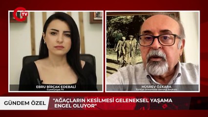 Akbelen’de neler oluyor? 40 binden fazla ağaç kesildi!