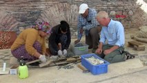 Les femmes du village travaillent dans les travaux de rénovation de la synagogue de l'ancienne ville de Sardes
