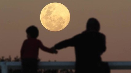 Supermoon 2023 India Time : सुपरमून 2023 भारत में कब दिखेगा | Super Moon 2023 Kab Dikhega | Boldsky