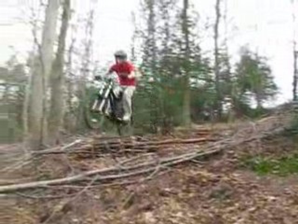 DH Spy 06