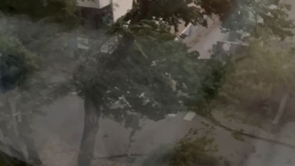 A tree breaks and nearly crushes a car underneath during the Mega storm in Croatia