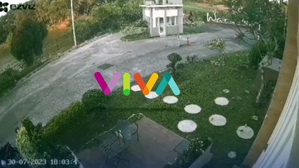 SAMBIL TERTAWA, Para Remaja Lempar Bocah 10 Tahun ke Danau