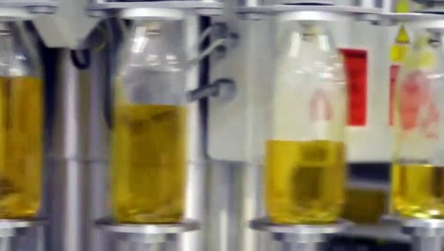 Le ministère du Commerce a interdit les exportations d'huile d'olive pendant 3 mois en raison de l'augmentation des prix sur le marché intérieur