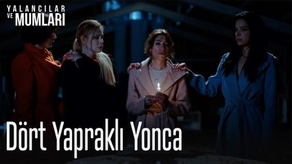 Dört yapraklı yonca - Yalancılar ve Mumları