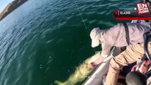 Keban Barajı'nda balık avı: 1.57'lik Fırat turnası yakaladılar
