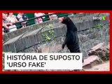 Zoológico chinês nega ter homens fantasiados de ursos após cena viralizar