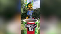 Yorkshire Man celebrates Yorkshire Day with huge tea dunk