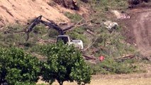 Muğla'da Akbelen Ormanı'ndaki Ağaçlar Kesildi