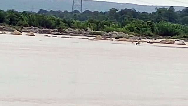 18 किलोमीटर के पैदल सर्चिंग में भी नहीं मिला चार दिन से लापता युवक