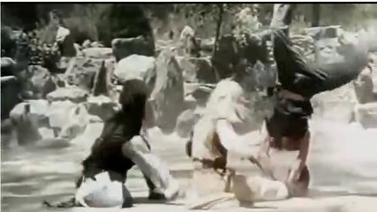 Seven steps of kung fu - Final fight