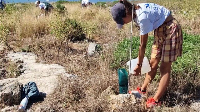 Volontari da tutta Europa a Isola delle Femmine per pulire la spiaggia