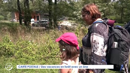 CARTE POSTALE / Des vacances en forêt avec un âne