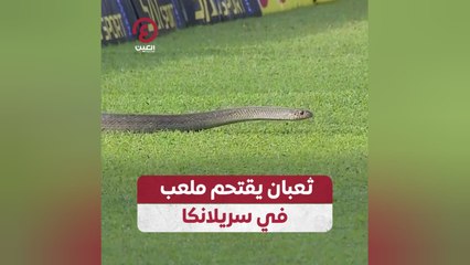 ثعبان يقتحم ملعب في سريلانكا