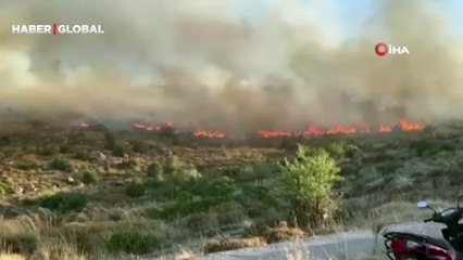 Bodrum Türkbükü'nde otluk alanda yangın! Alevler kısa sürede ilerledi...