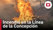 Un incendio en un paraje de La Línea de la Concepción (Cádiz) obliga al desalojo de varias viviendas