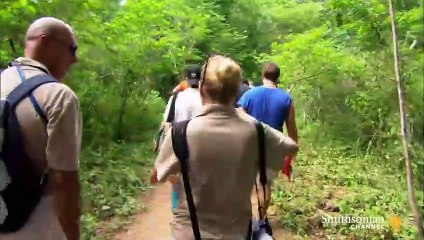 Steps Away From a Hungry Komodo Dragon