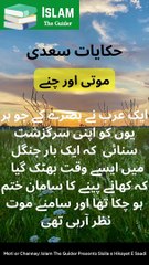 موتی اور چنے | Hikayat E Saadi | #Top # Viral